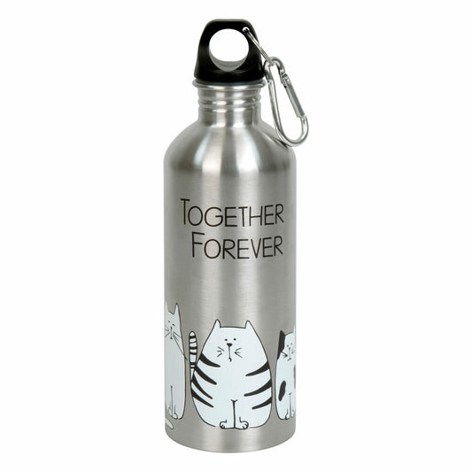 Könitz Bottle Cool Bottle - Funny Cats, Thermo Bottle, Outdoor Bottle, Double-Walled with Cap, Stainless Steel, Silver, 600 ml, 11 9 244 2075