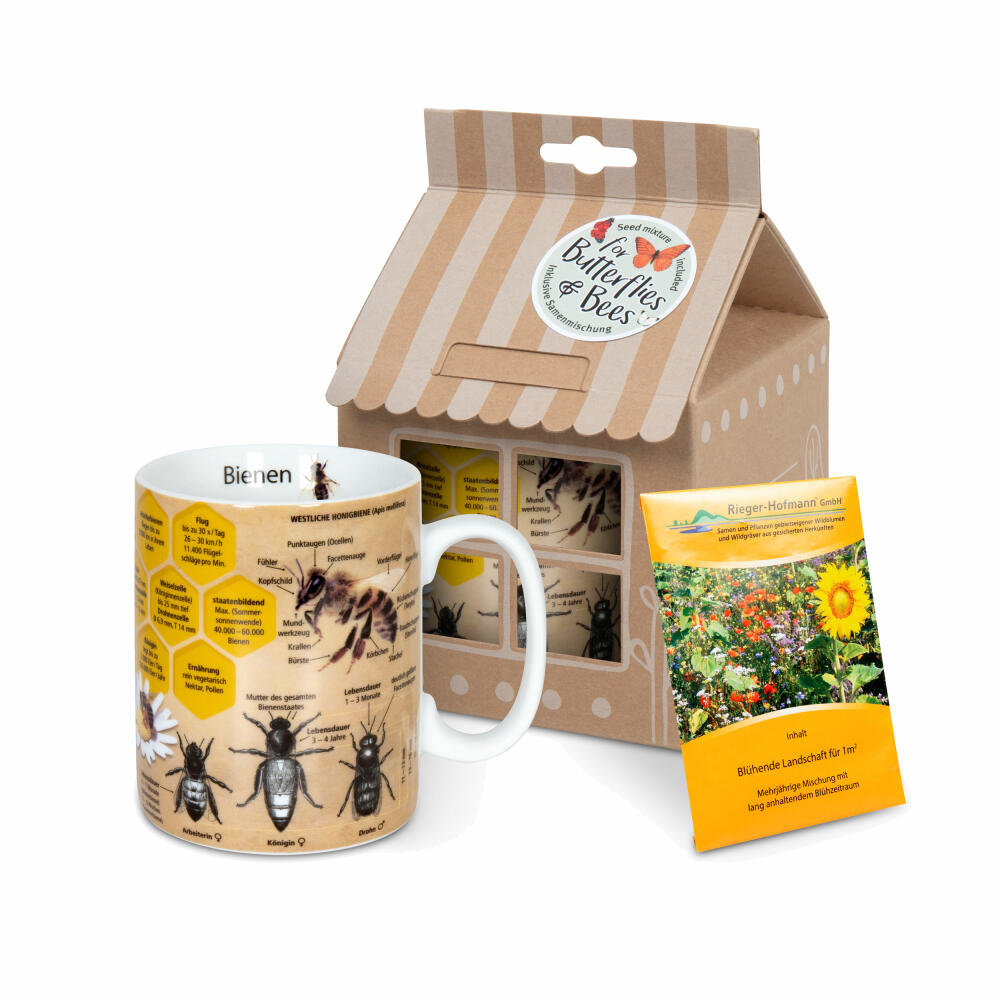 Könitz Mug Knowledge Mug Bee with Seed Bag in Gift Box, Cup, Porcelain, Colorful, 490 ml, 11 5 000 2445