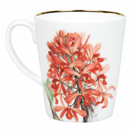 Könitz Becher Laelia superbiens, in Geschenkbox, Bone China, Rot, 600 ml, 11 5 255 2926