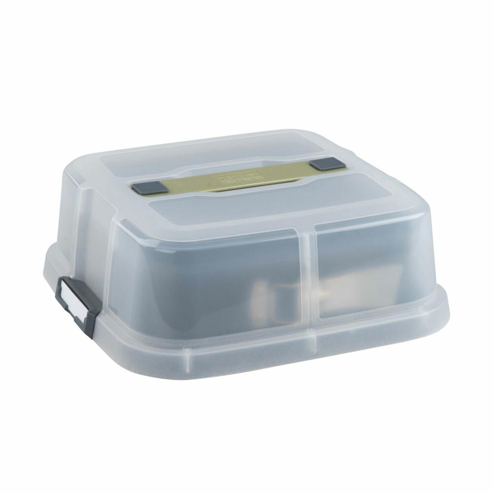 Zenker Springform Bake, Click und Go quadratisch mit Transporthaube, Backform, Kuchenform, Stahlblech, Schwarz, Sparkling Green, Transparent, 24 x 24 cm, 7904