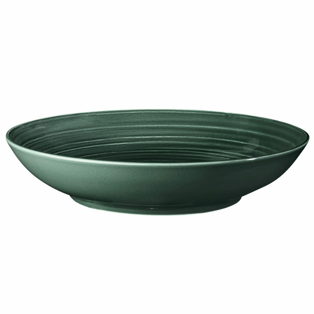 Seltmann Weiden Terra Coupteller Deep, Pasta Plate, Plate, Porcelain, Moss Green, Ø 26 cm, 001.766888