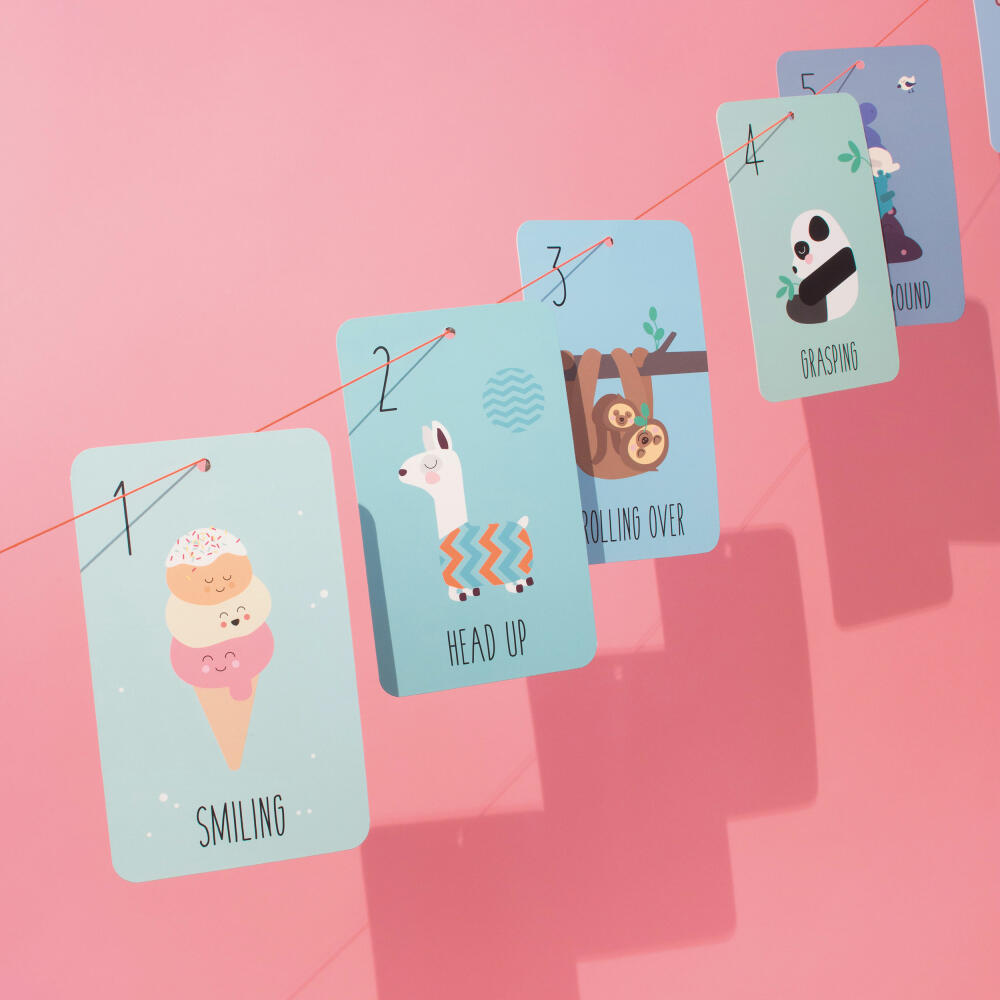 Donkey Products My first 12 months Meilensteinkarten, Kartenset, Karten, Papier, 900251