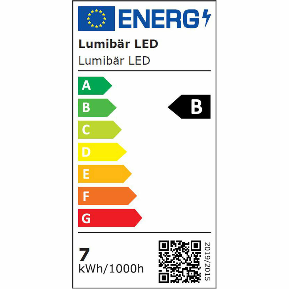 Authentics Lumibär decorative light LED, light figure in bear shape with remote control, polyethylene, white, 523700