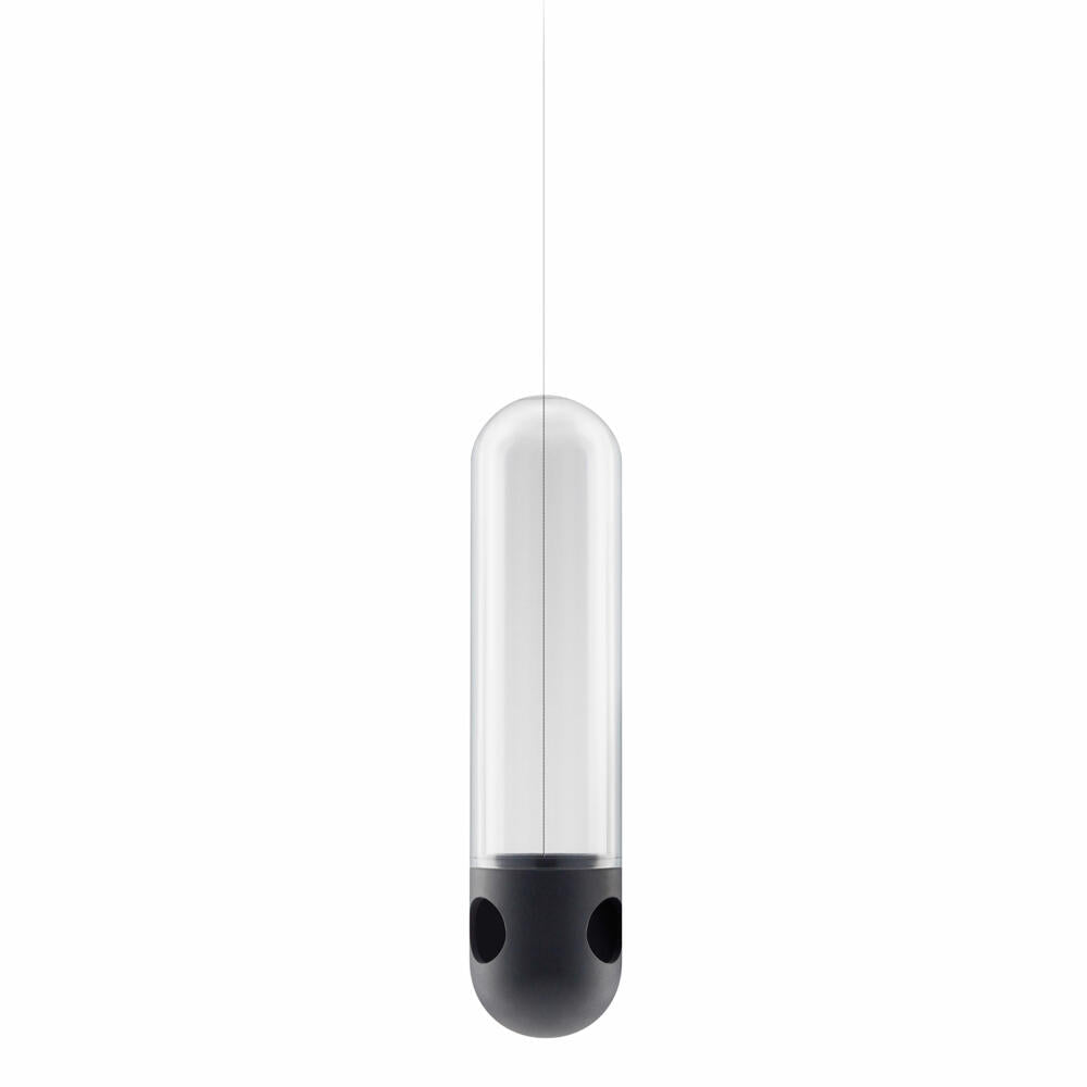 Eva Solo Vogelfutterröhre, Vogelfutterstation, Futterstation, Draußen, Garten, Edelstahl/Glas/Silikon, Transparent, Ø 10 cm, 571043