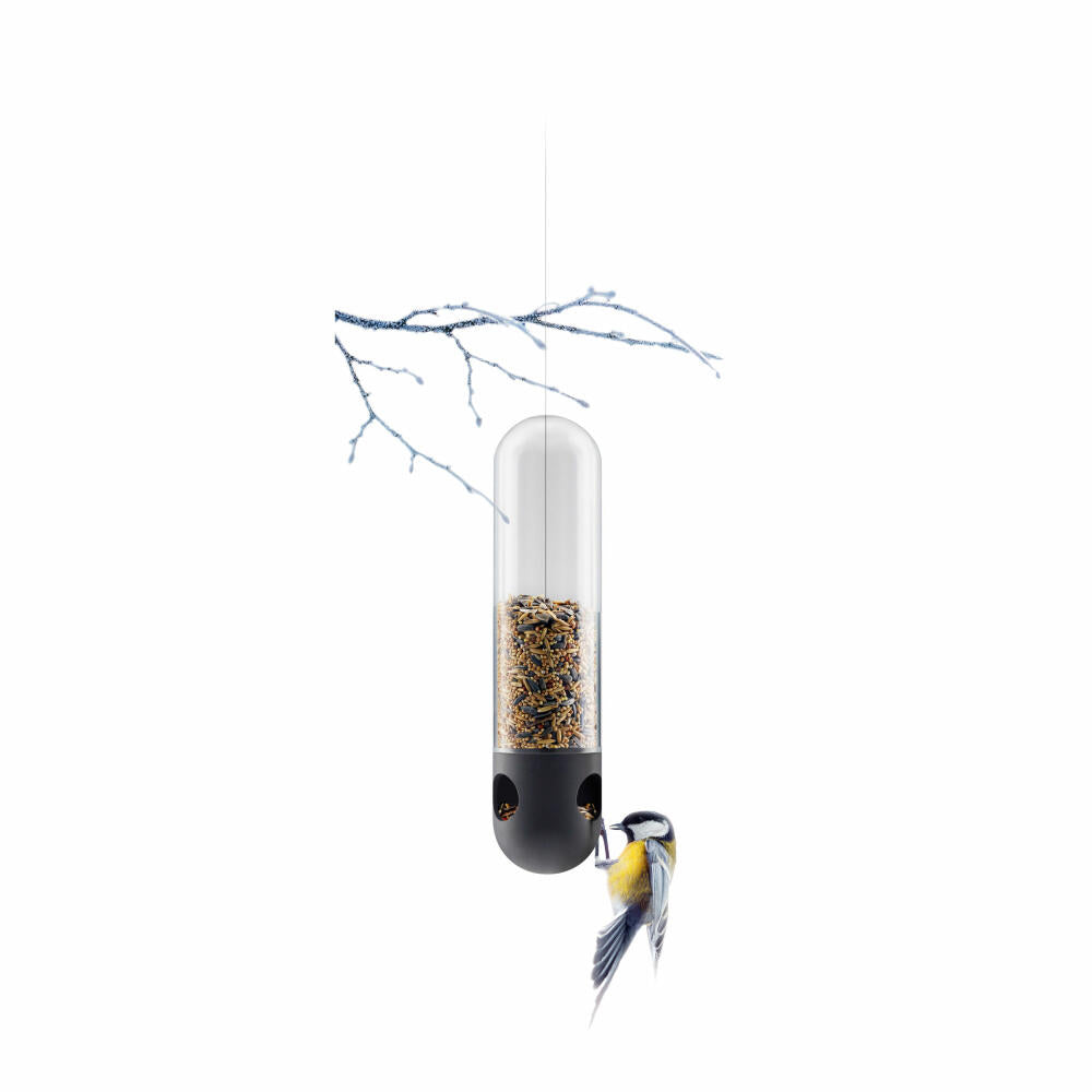 Eva Solo Vogelfutterröhre, Vogelfutterstation, Futterstation, Draußen, Garten, Edelstahl/Glas/Silikon, Transparent, Ø 10 cm, 571043