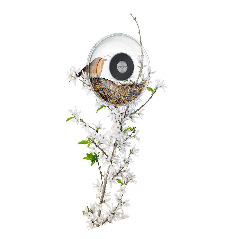 Eva Solo Fensterfutterkugel, Vogelfutterhaus, Futterhaus, Gummi/Glas/Edelstahl, Transparent, Ø 14.5 cm, 571048