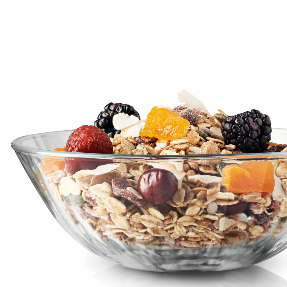 Eva Solo faceted glass bowl, bowl, serving, dessert bowl, glass, transparent, 0.5 L, set of 4, 567436