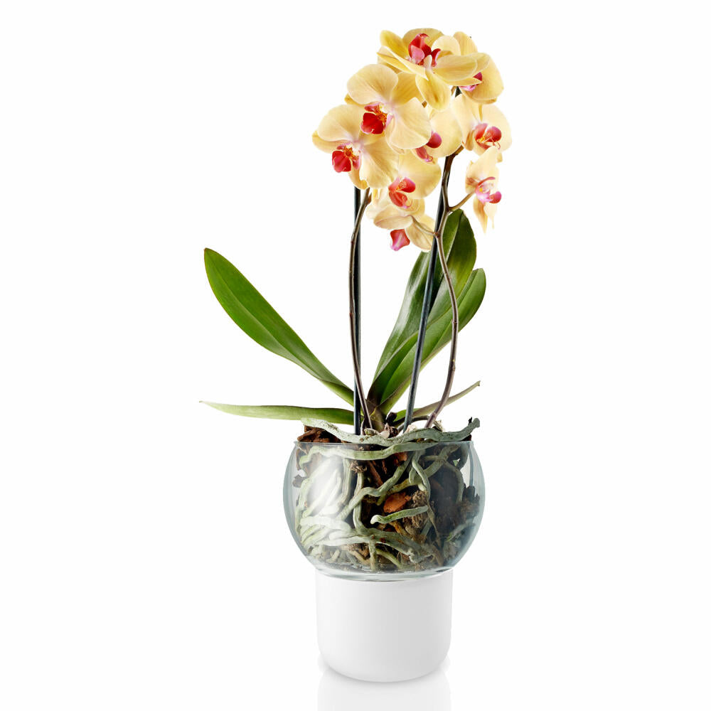 Eva Solo Orchideentopf, Blumentopf, Selbstbewässernd, Übertopf, Gefrostetes Glas/Glas/Nylon, Frost, Ø 15 cm, 568149