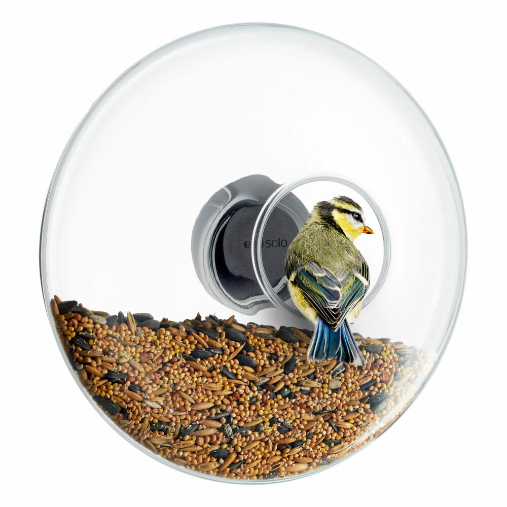 Eva Solo Fenster-Futterkugel, Futterhaus, Futterstation, Vogelfutter, Glas/Gummi/Edelstahl, Transparent, Ø 19.5 cm, 571024