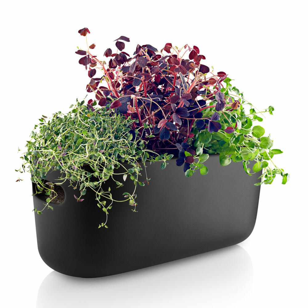 Eva Solo Self-Watering Herb Organizer, Herb Pot with Irrigation System, Herb Pot, Herbs, Ceramic/Plastic, Black, 568169