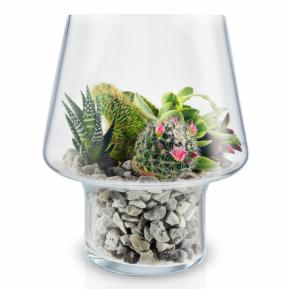 Eva Solo Sukkulenten-Glasvase, Blumenvase, Dekovase, Glas, Transparent, Ø 15 cm, 568187