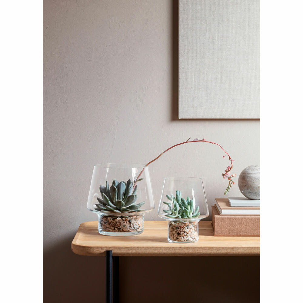 Eva Solo Sukkulenten-Glasvase, Blumenvase, Dekovase, Glas, Transparent, Ø 15 cm, 568187