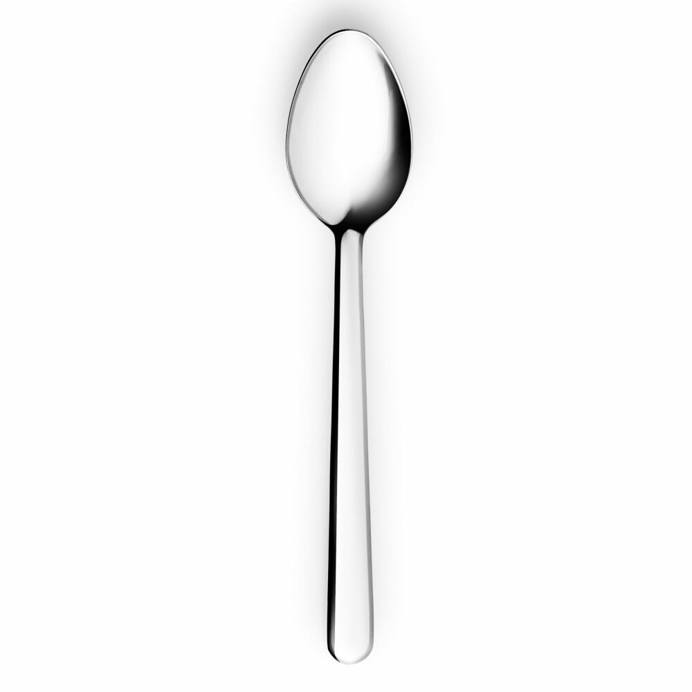 Eva Solo Besteck-Set Nova 48-tlg., für 12 Personen, Messer, Gabel, Löffel, Edelstahl, Silberfarben, 551773