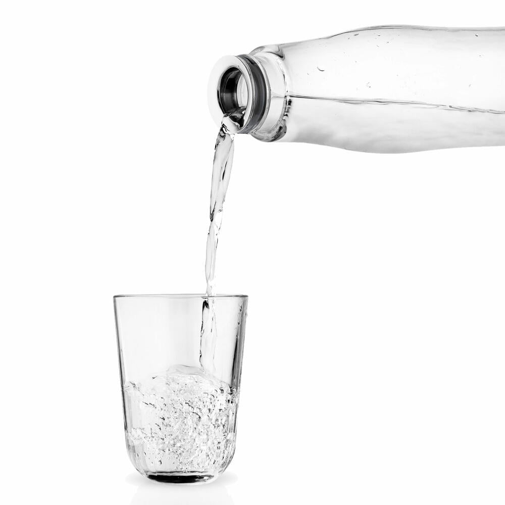 Eva Solo Glaskaraffe, Wasserkaraffe, Krug, Borosilikatglas, Edelstahl, Transparent, 1.3 L, 557475