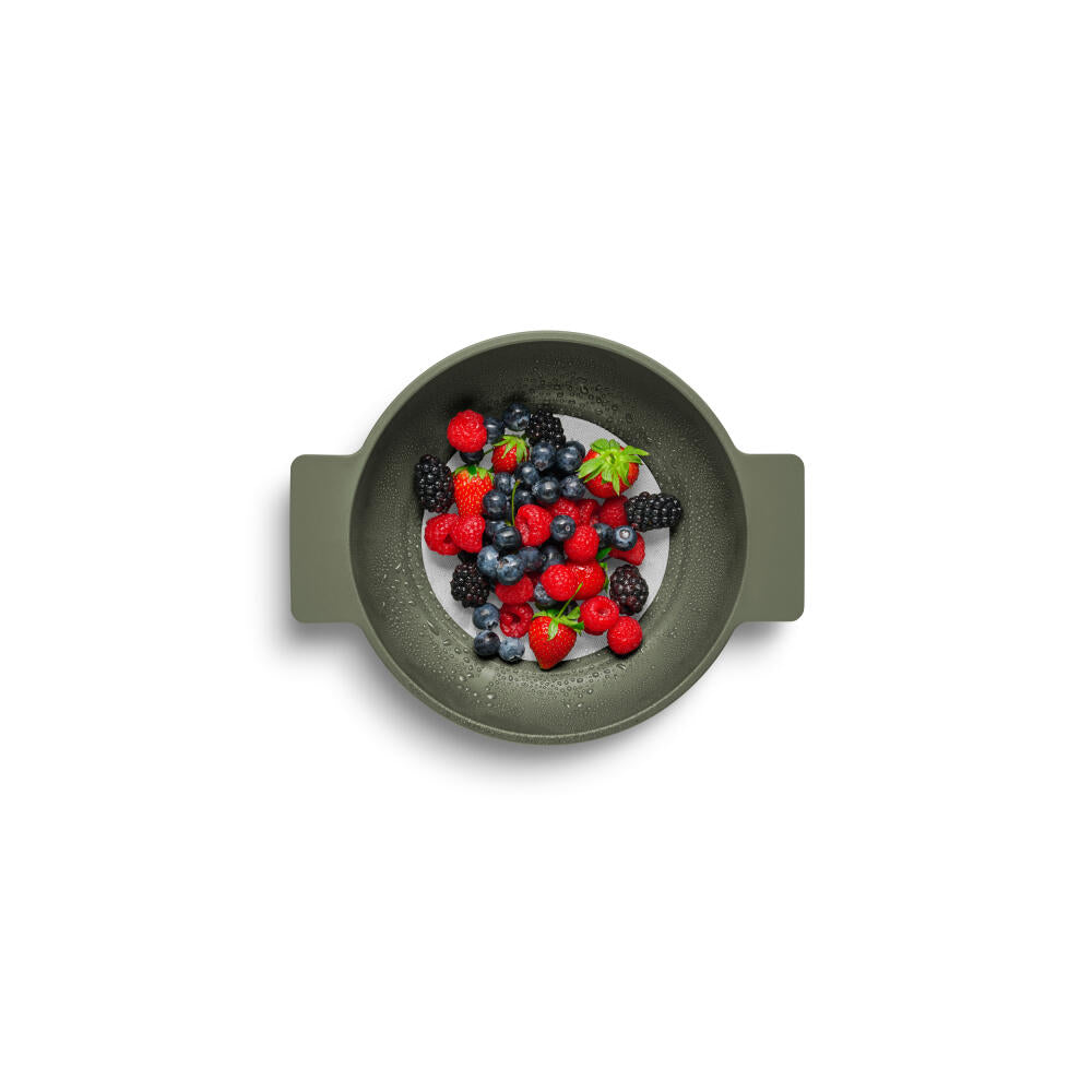Eva Solo Sieve Green tools, stainless steel, plastic, Green, 531542