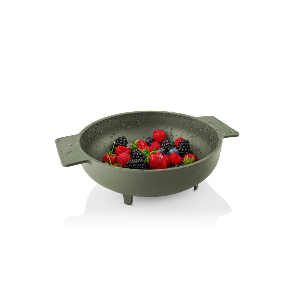 Eva Solo Sieve Green tools, stainless steel, plastic, Green, 531542