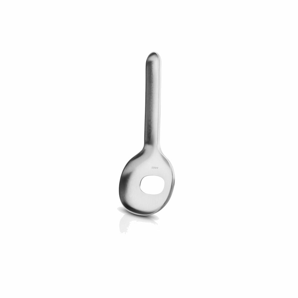 Eva Solo Ice Bucket Liquid Lounge with Spoon, Stainless Steel, Brushed Steel, 14 cm, 822015