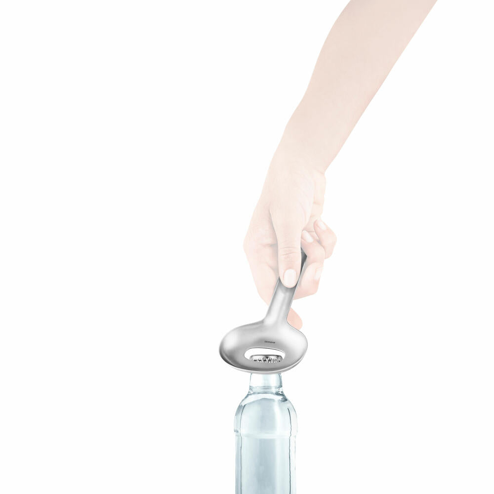 Eva Solo Ice Bucket Liquid Lounge with Spoon, Stainless Steel, Brushed Steel, 14 cm, 822015