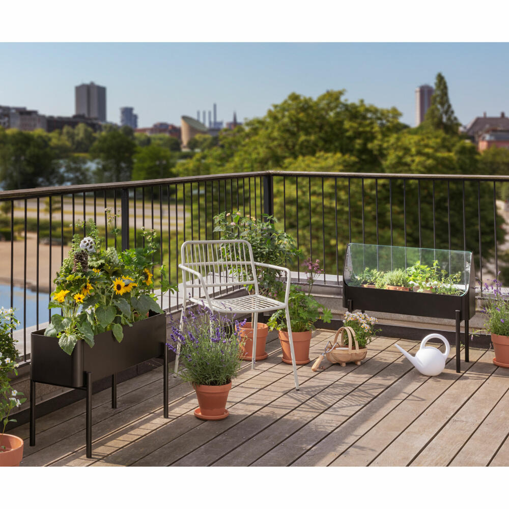 Eva Solo Pflanzenbox Simply Grow mit Gewächshaus, Aluminium, Glas, Kunststoff, Schwarz, 73 x 80 x 33 cm, 741010011