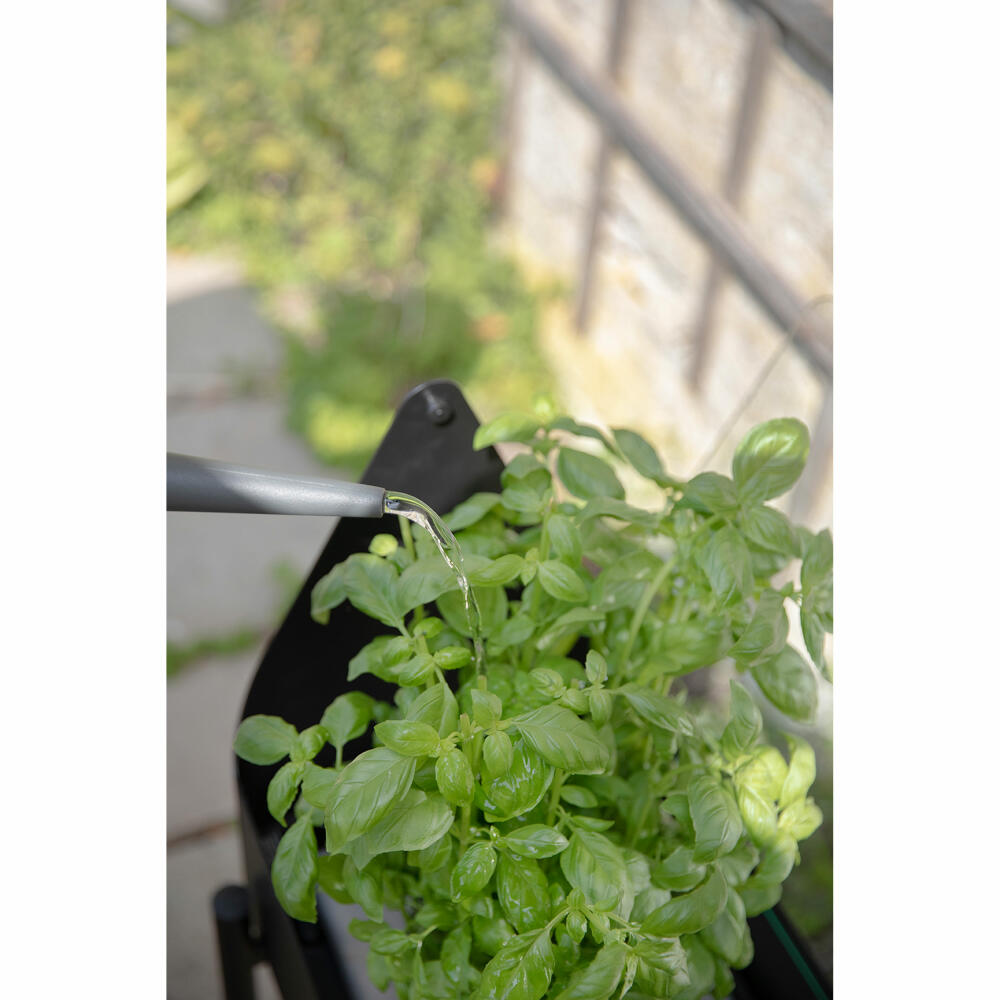 Eva Solo Pflanzenbox Simply Grow mit Gewächshaus, Aluminium, Glas, Kunststoff, Schwarz, 73 x 80 x 33 cm, 741010011