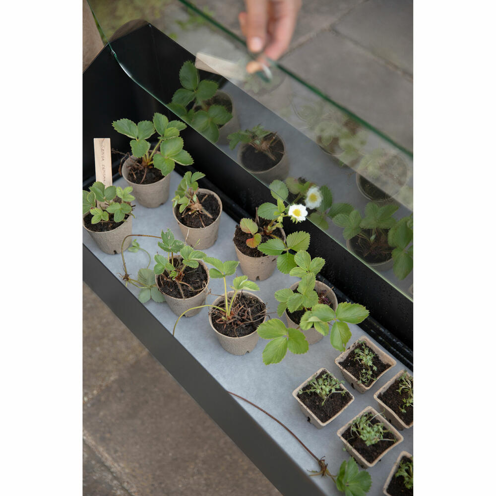 Eva Solo Anzuchtbox Simply Grow, Aluminium, Glas, Kunststoff, Schwarz, 33 x 63 x 80 cm, 741010012