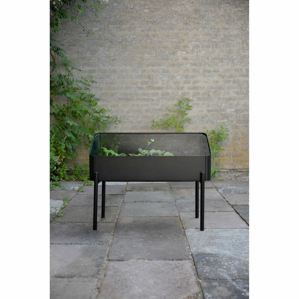 Eva Solo Anzuchtbox Simply Grow, Aluminium, Glas, Kunststoff, Schwarz, 33 x 63 x 80 cm, 741010012