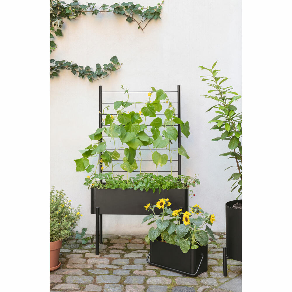 Eva Solo Spalier für Pflanzenbox Simply Grow, Stahl, Schwarz, 102 cm, 741010013