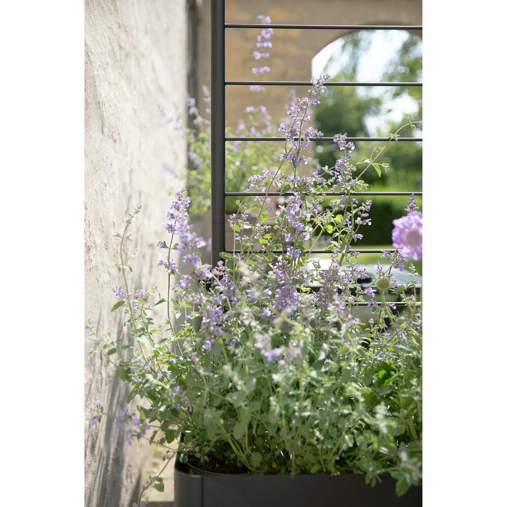 Eva Solo Spalier für Pflanzenbox Simply Grow, Stahl, Schwarz, 102 cm, 741010013