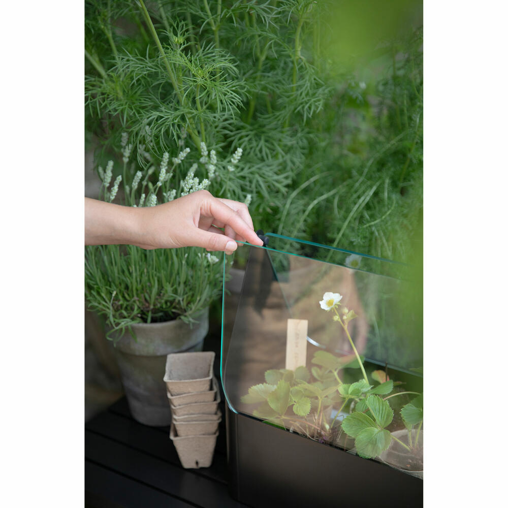 Eva Solo Mini-Gewächshaus Simply Grow, Aluminium, Glas, Kunststoff, Schwarz, 32 x 42 x 20 cm, 741010015