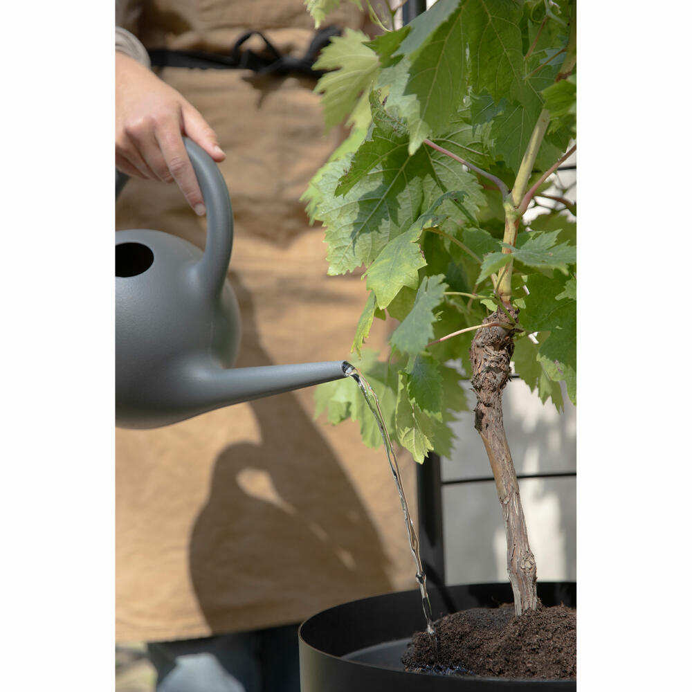 Eva Solo Spalier für Übertopf Simply Grow, Gewächsleiter, Stahl, Schwarz, 145 cm, 741010018