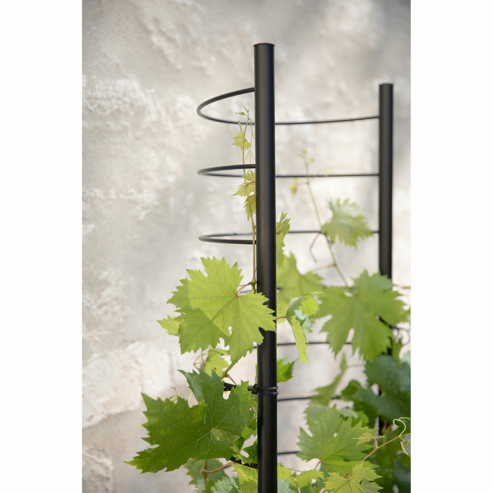 Eva Solo Spalier für Übertopf Simply Grow, Gewächsleiter, Stahl, Schwarz, 145 cm, 741010018