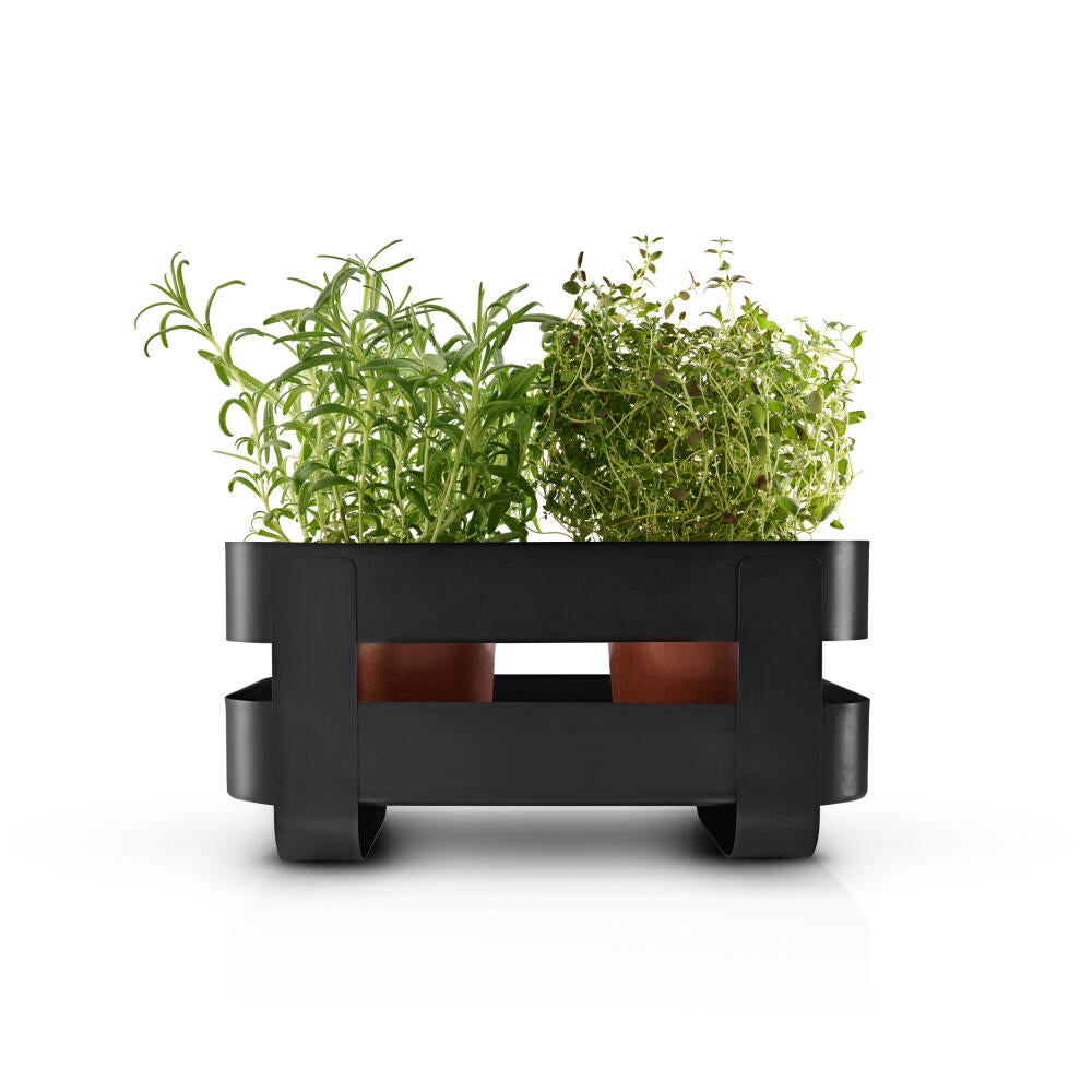 Eva Solo Selbstbewässerung Herb Organiser, Matte, Filzmatte, Kapillarmatte, Kunststoff, Black, 31 cm, 568190