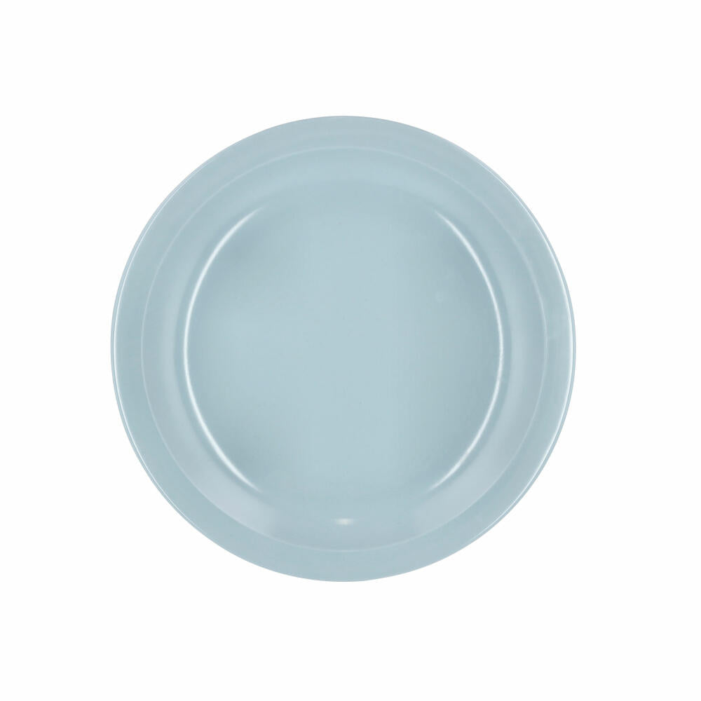 Rosti dinner plate Hamlet, dinner plate, plate, melamine, Nordic Blue, 24.5 cm, 23978