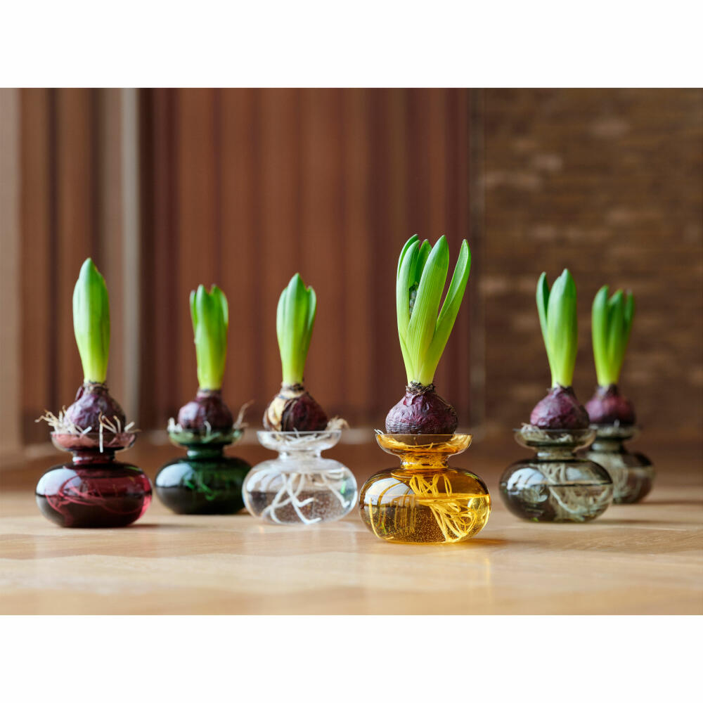 Zone Denmark Vase Inu Amber, flower vase, decorative vase, glass, brown, 9 cm, 33609