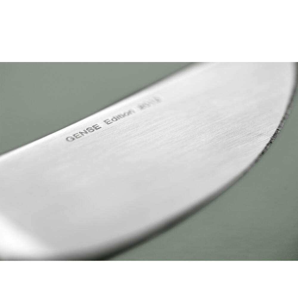 Gense Messer Focus de Luxe, Besteck, Tafelmesser, POM-Kunststoff, 18/8 Edelstahl, 20 cm, 20486