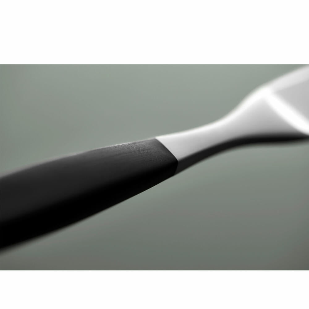 Gense Messer Focus de Luxe, Besteck, Tafelmesser, POM-Kunststoff, 18/8 Edelstahl, 20 cm, 20486