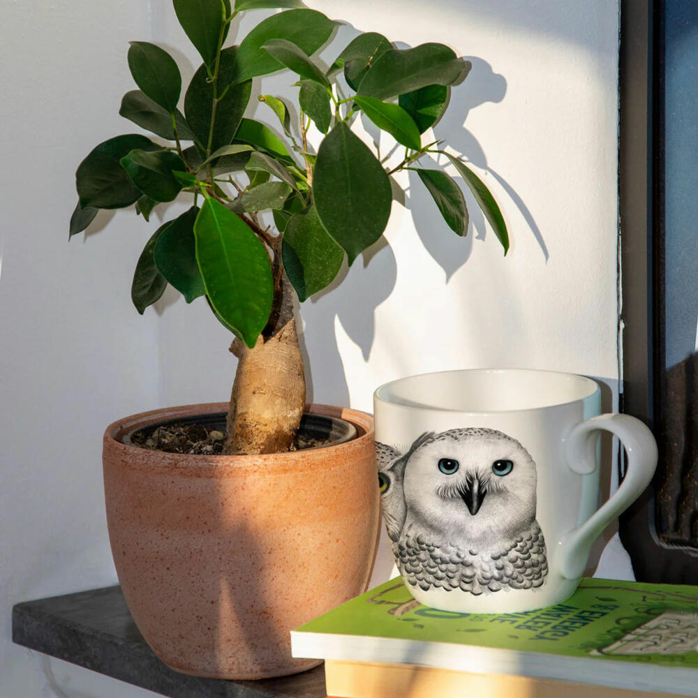 Charlotte Nicolin Becher Contemplation, Tasse, Eule, Fine Bone China, Bunt, 415 ml, MU7511