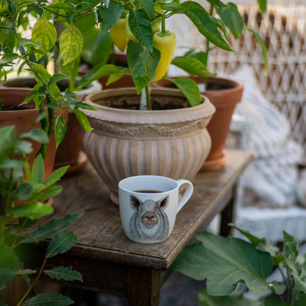 Charlotte Nicolin Becher Oscar, Tasse, Schwein, Fine Bone China, Bunt, 415 ml, MU7508