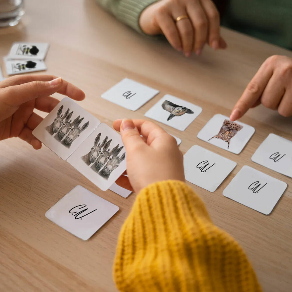 Charlotte Nicolin Memo Game, Puzzle Game, Memory Game, from 3 years, ME19157