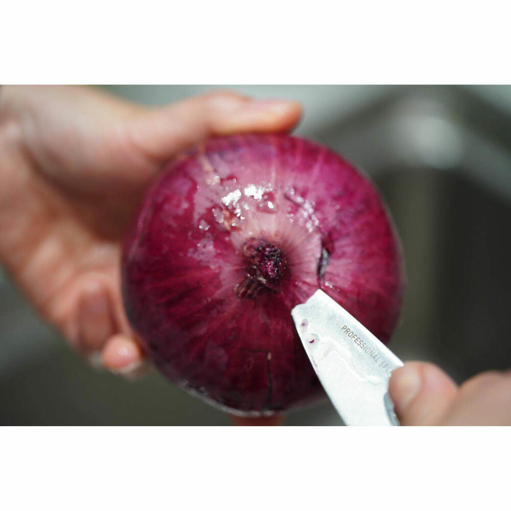 Professional Secrets Kitchen Gemüsemesser, Stahl / Glasfaser, Silberfarben / Schwarz, Gesamtlänge 19.5 cm, Klingenlänge 9 cm, 1031