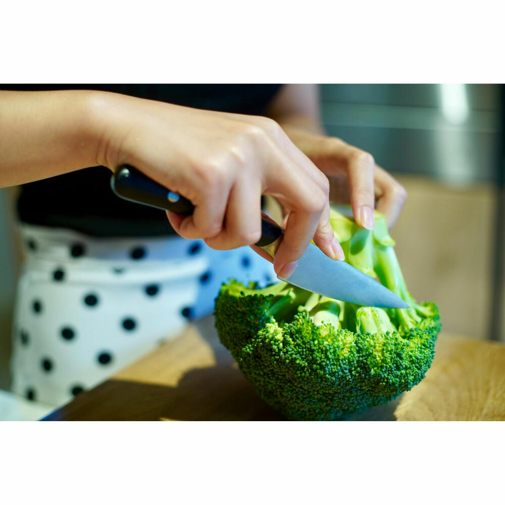 Professional Secrets Kitchen Gemüsemesser, Stahl / Glasfaser, Silberfarben / Schwarz, Gesamtlänge 19.5 cm, Klingenlänge 9 cm, 1031