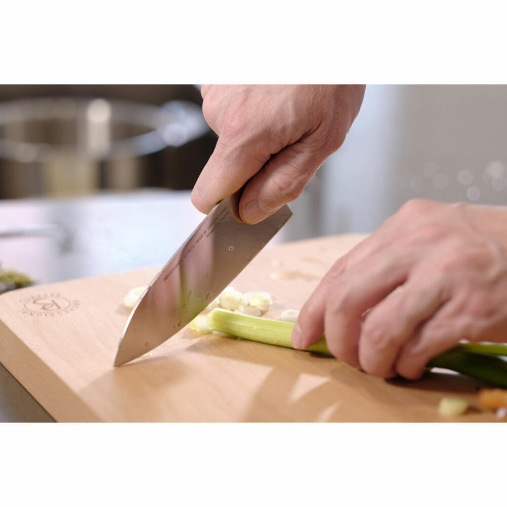 Professional Secrets Küchenmesser-Set, Chefmesser, Brotmesser, Stahl, Glasfaser, 4-tlg., 1067