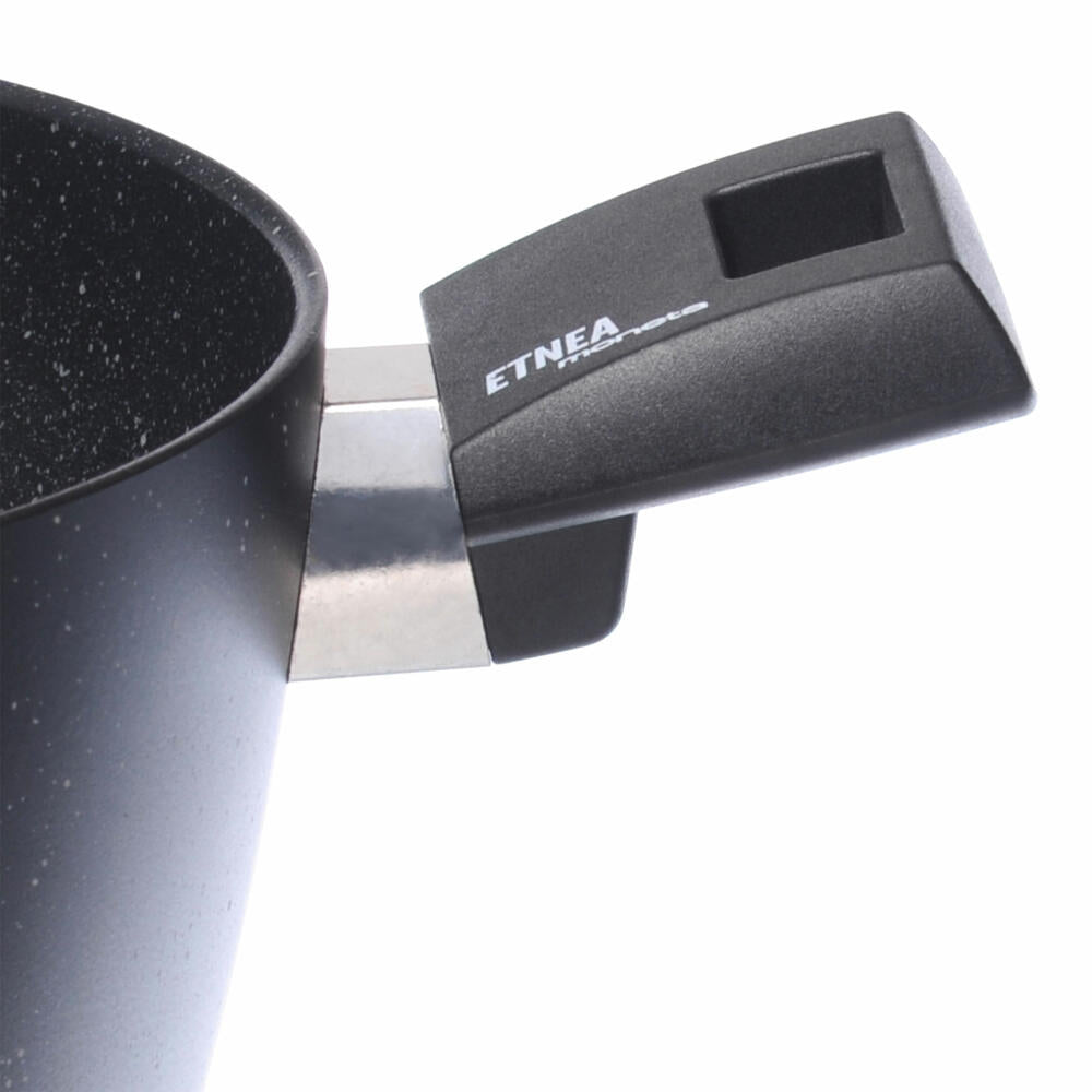 Moneta Etnea cooking pot, cooking pot, handle pot, non-stick coating, aluminum, Ø 20 cm, 0008650720