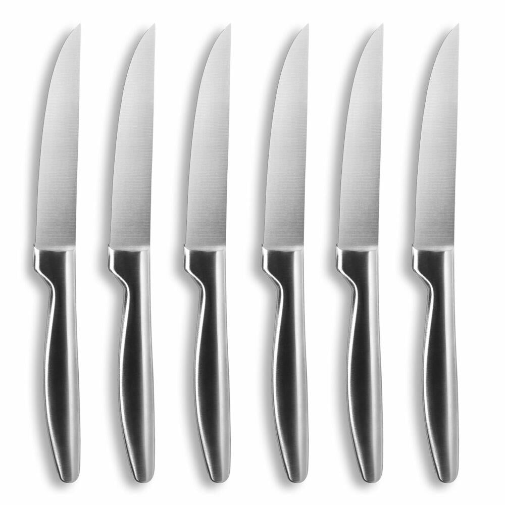 Comas steak knives BOJ Satin set of 6, meat knives with satin finish, stainless steel, 22.1 cm, 2999