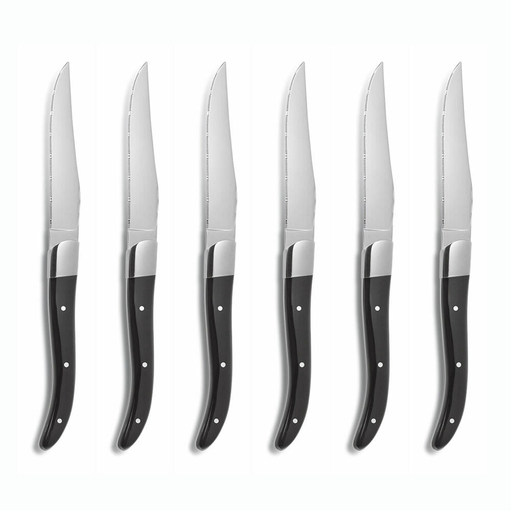 Comas steak knives ACR Black set of 6, meat knives, stainless steel, acrylic, black, 22.5 cm, 3010
