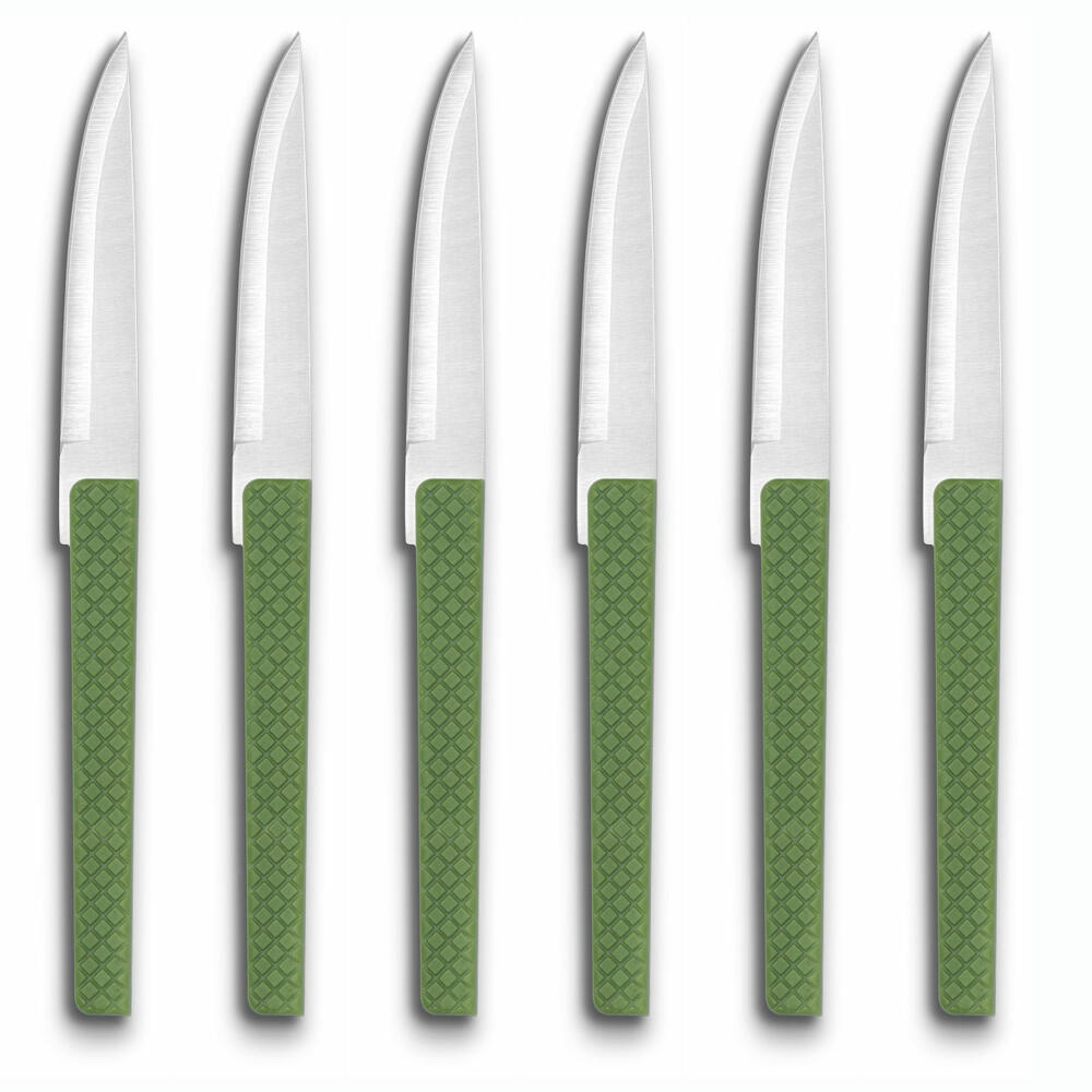 Comas steak knives Green Willow set of 6, meat knives with structured handle, stainless steel, ABS, green, 22.6 cm, 3112