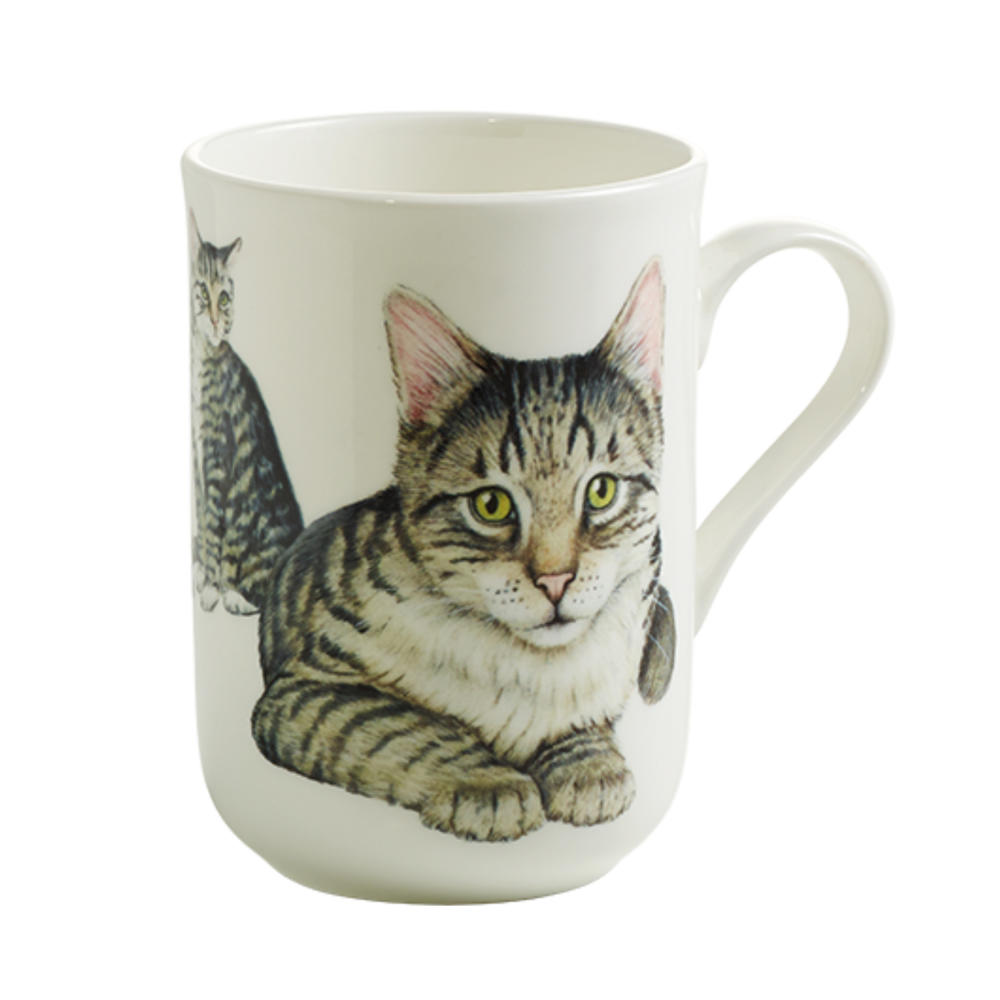 Maxwell & Williams Pets Cat Becher, Tasse, Europäisch Kurzhaar, Geschenkbox, Porzellan, 350 ml, PB0712