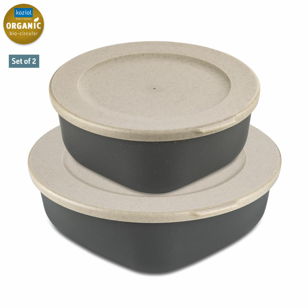 Koziol Aufbewahrungsdosen-Set Connect Box Kopenhagen 2-tlg., Kunststoff, Nature Ash Grey, 700 ml + 1.3 L, 7874701