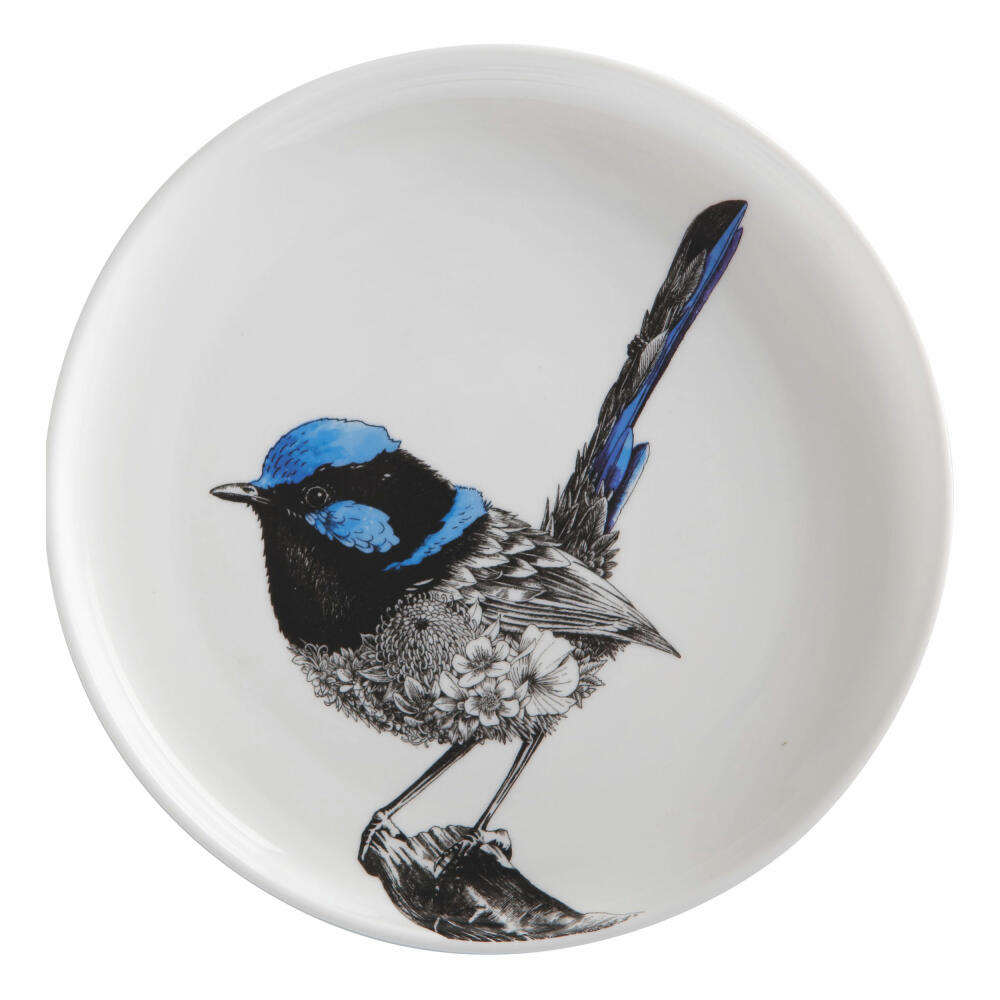 Maxwell & Williams Marini Ferlazzo Teller Fairy Wren, Speiseteller, in Geschenkbox, Premium-Keramik, Mehrfarbig, 20 cm, DX0587