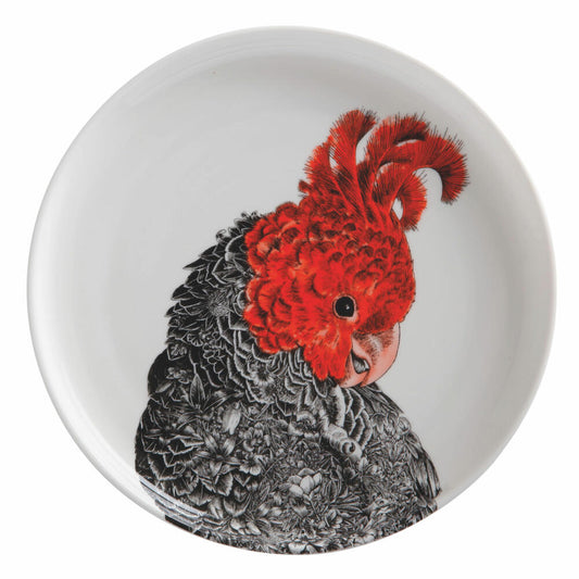 Maxwell & Williams Marini Ferlazzo Teller Gang Gang, Speiseteller, in Geschenkbox, Premium-Keramik, Mehrfarbig, 20 cm, DX0590